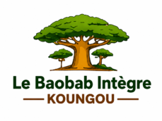 baobab-integre.fr